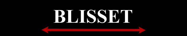 Blisset LLC